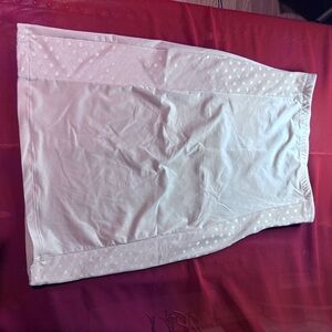 SOLD Spanx Assets Red Hot Label Slip Skirt Shapewear Size 1X